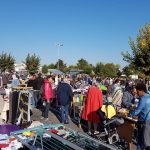 rederie